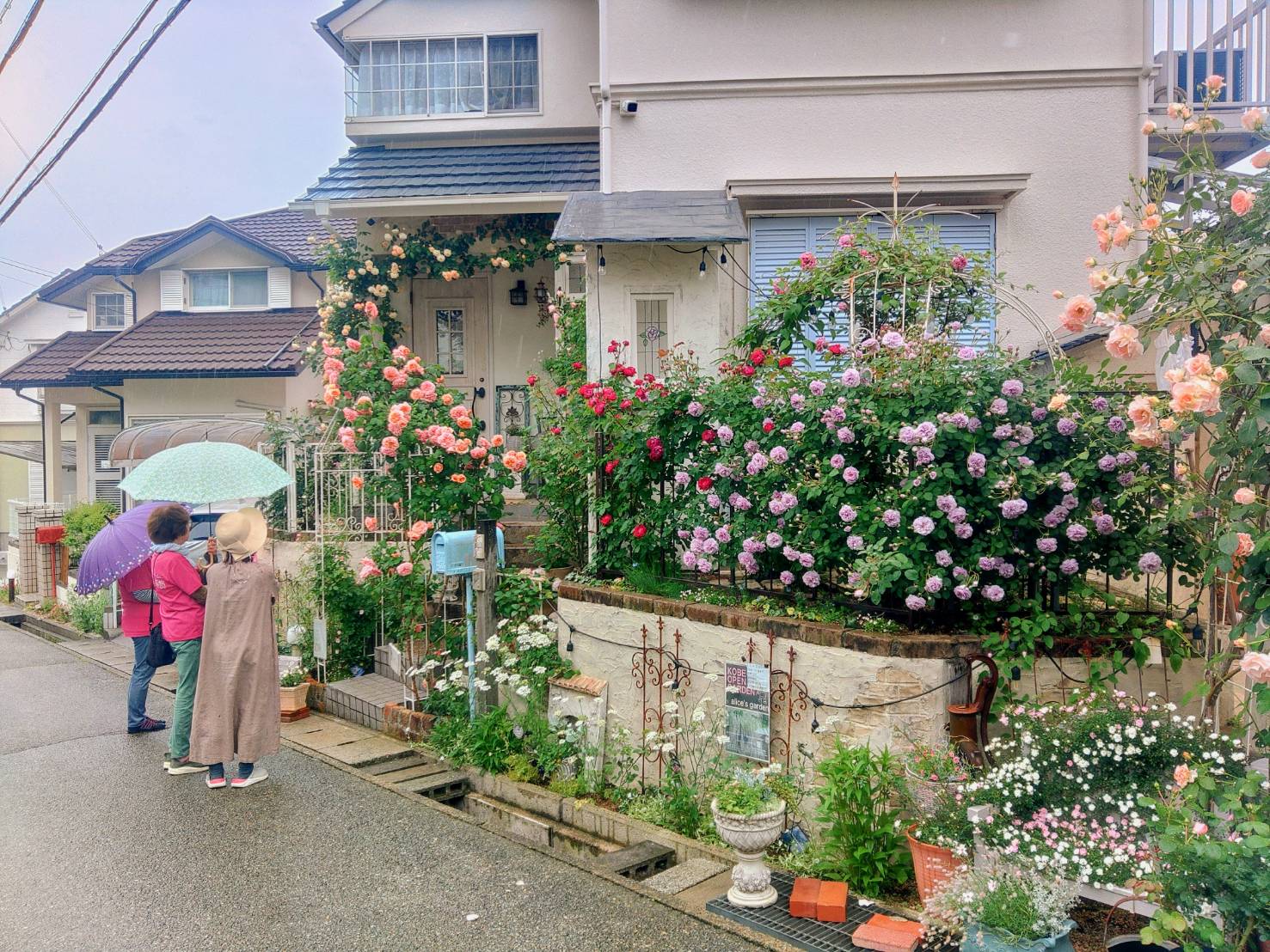 お花が満開の庭