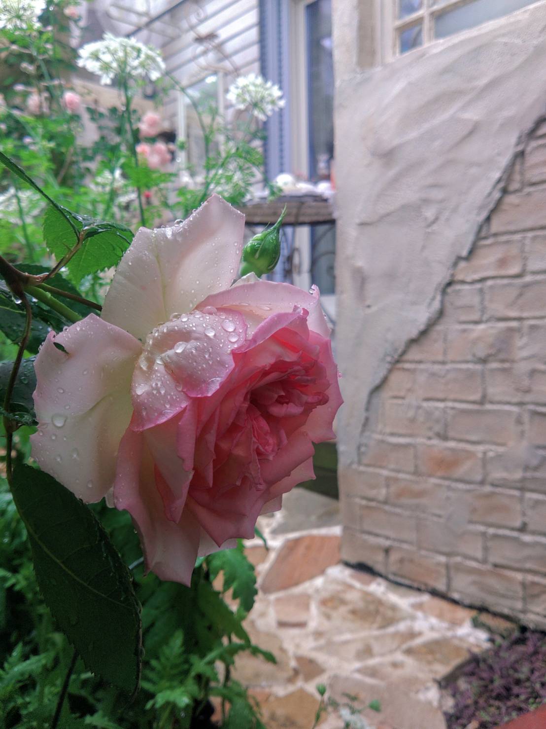 お花が満開の庭
