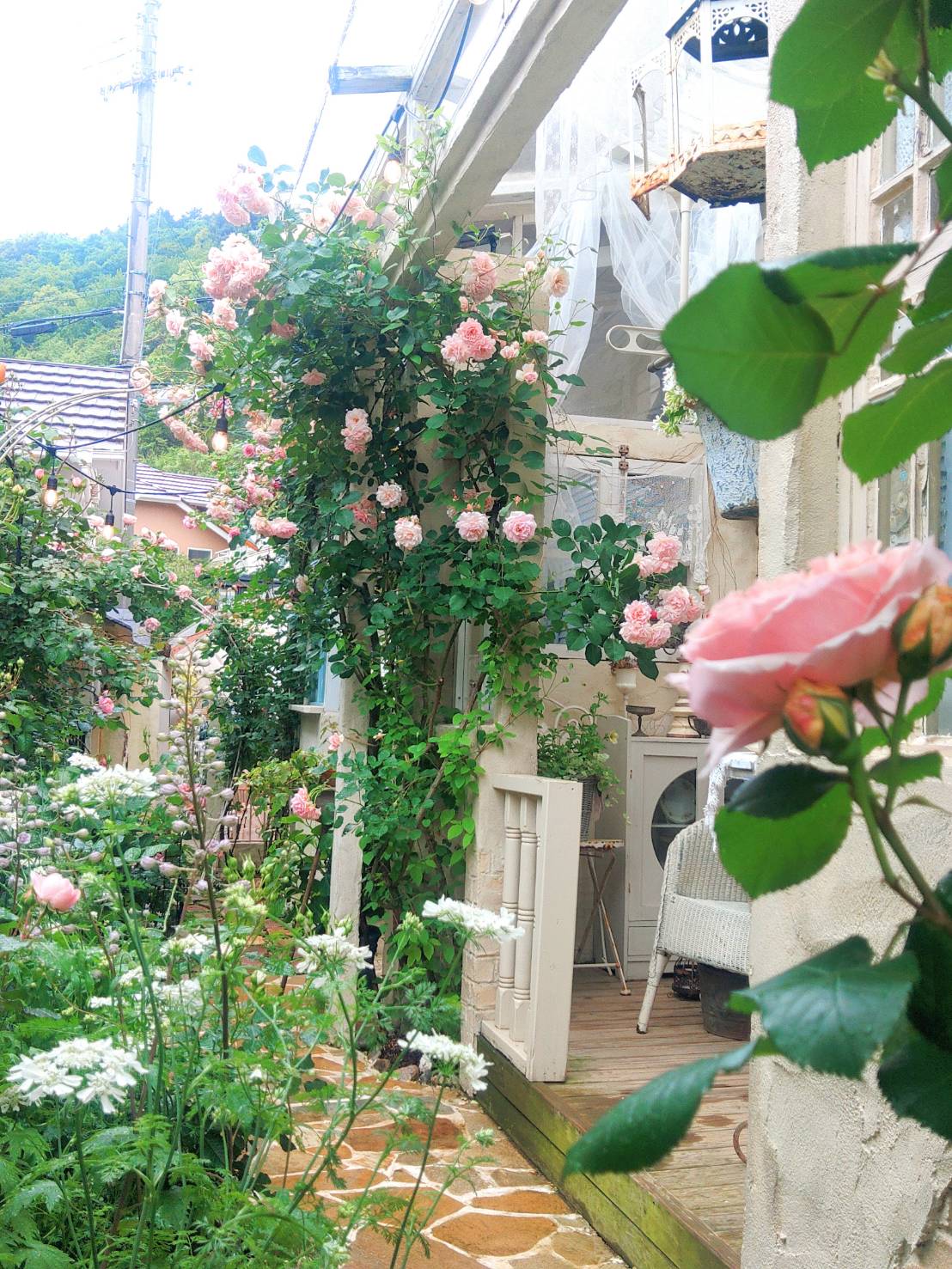 お花が満開の庭
