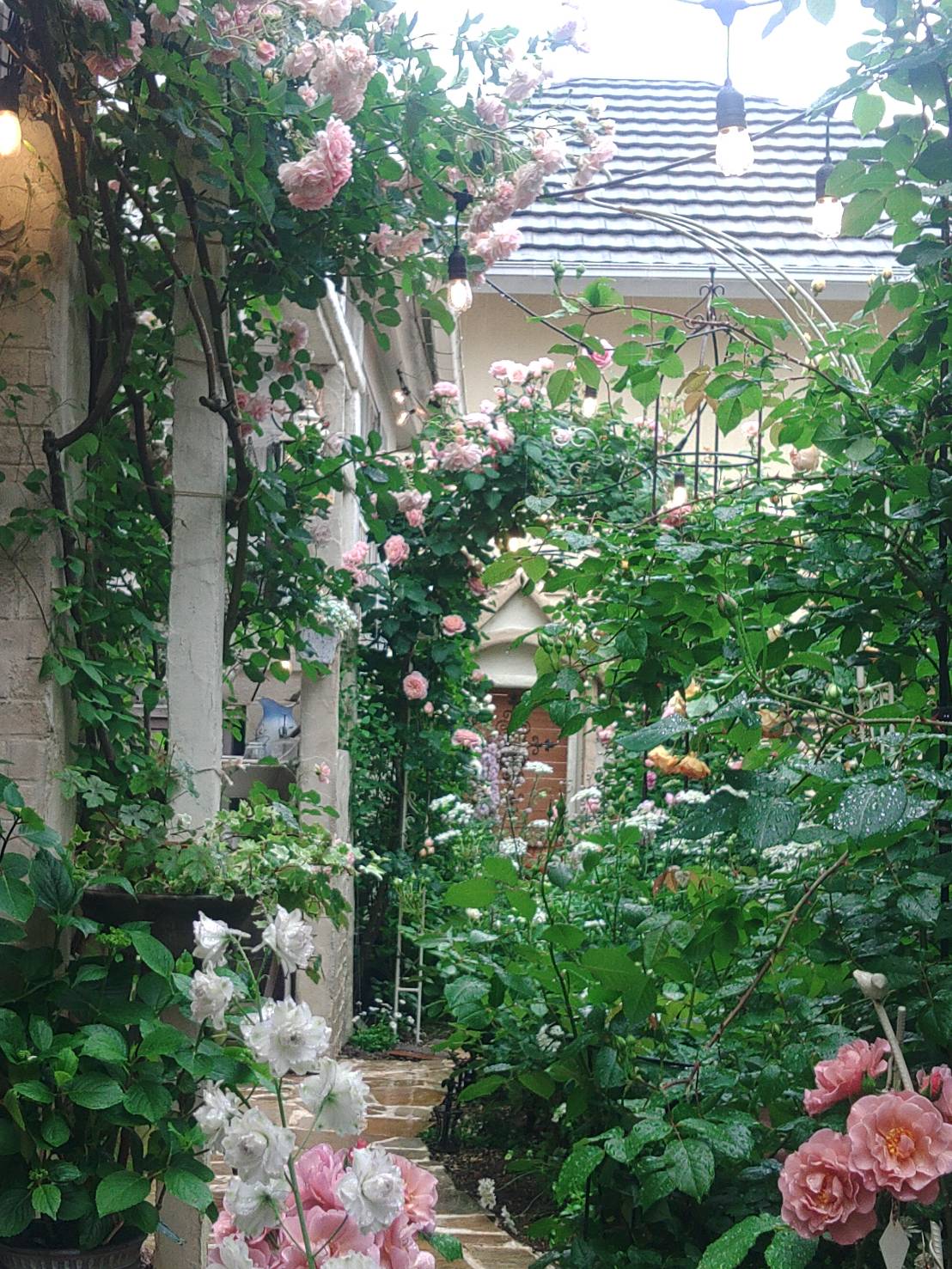 お花が満開の庭