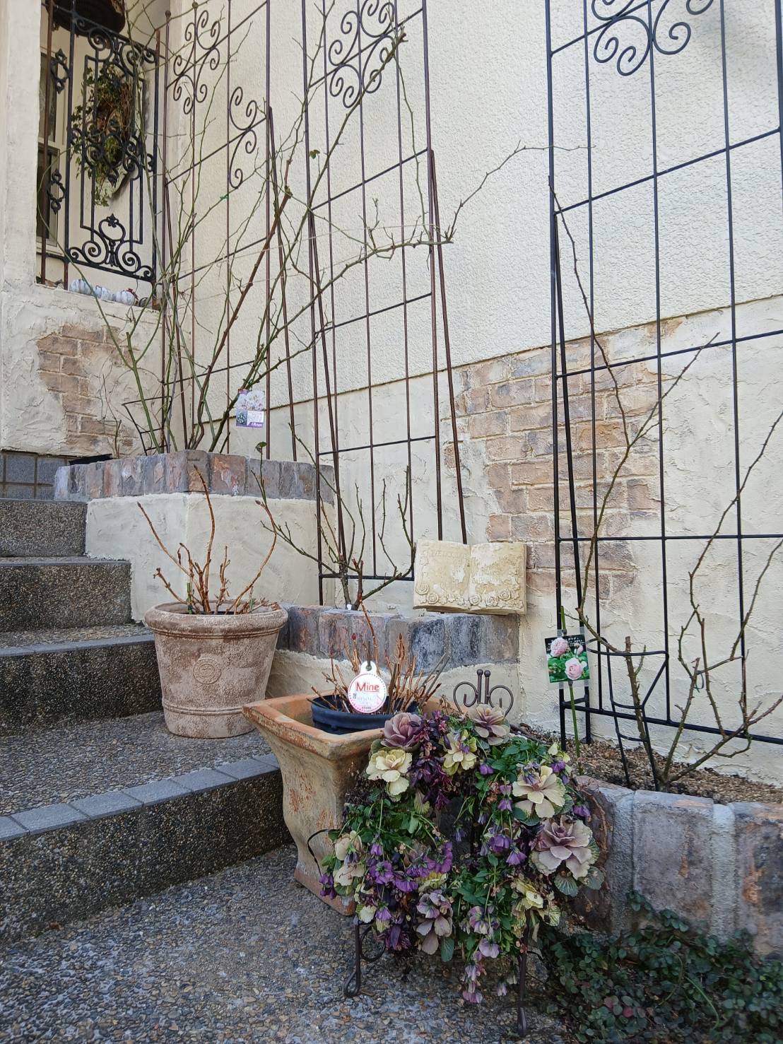 リフォーム中のお庭